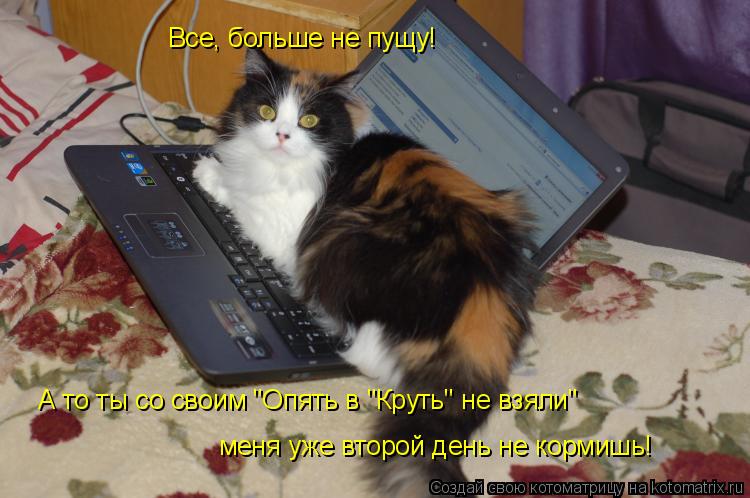 Котоматрица: Все, больше не пущу! А то ты со своим "Опять в "Круть" не взяли" меня уже второй день не кормишь!