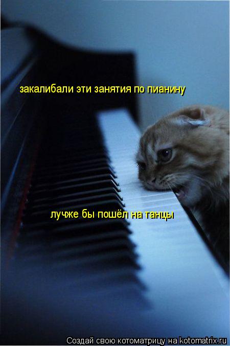 Котоматрица: закалибали эти занятия по пианину лучже бы пошёл на танцы