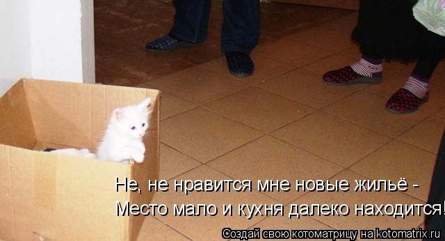 Котоматрица: Не, не нравится мне новые жильё - Место мало и кухня далеко находится!