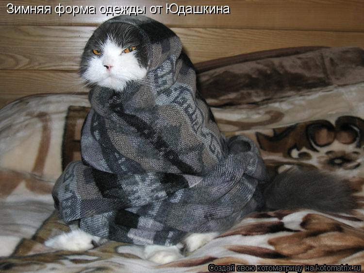 Котоматрица: Зимняя форма одежды от Юдашкина
