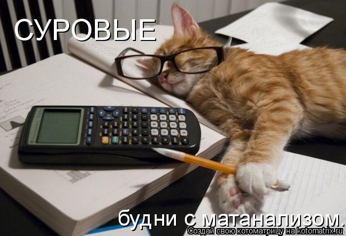 Котоматрица: СУРОВЫЕ будни с матанализом.