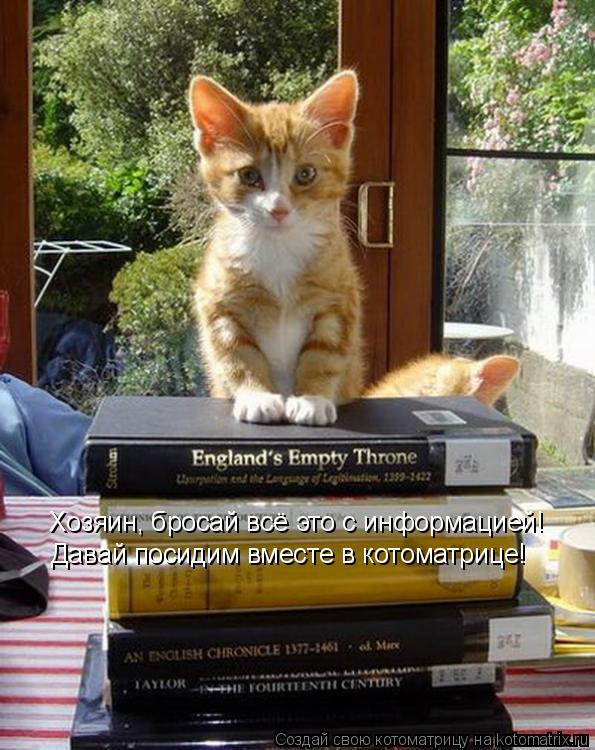 Котоматрица: Хозяин, бросай всё это с информацией! Давай посидим вместе в котоматрице!