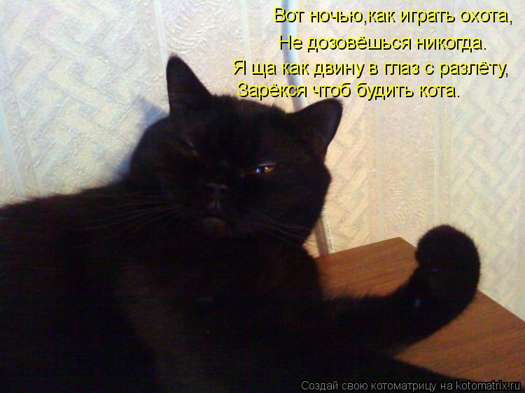 Котоматрица: Вот ночью,как играть охота, Не дозовёшься никогда. Я ща как двину в глаз с разлёту, Зарёкся чтоб будить кота.