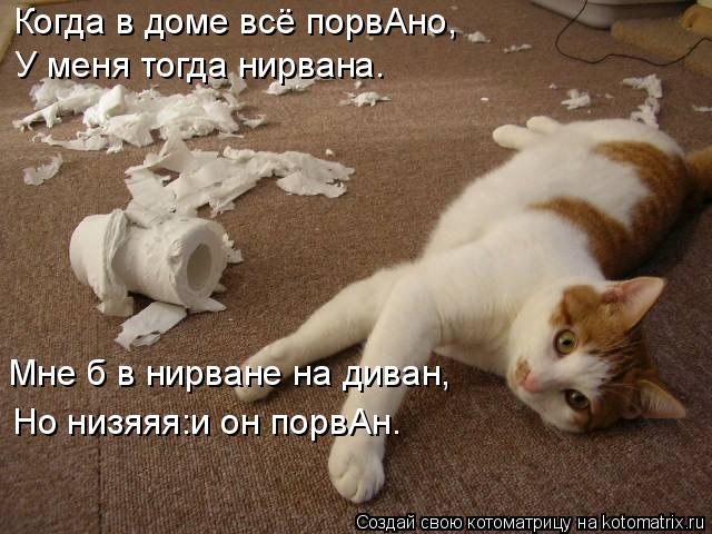 Когда в доме всё порвАно, У меня тогда нирвана. Мне б в нирване на диван, Но низяяя:и он порвАн.... Котоматрица: Когда в доме всё порвАно, У меня тогда нирвана. Мне б в нирване на диван, Но низяяя:и он порвАн.