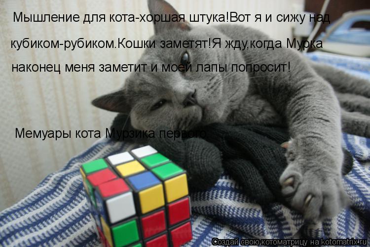 Котоматрица: Мышление для кота-хоршая штука!Вот я и сижу над кубиком-рубиком.Кошки заметят!Я жду,когда Мурка  наконец меня заметит и моей лапы попросит! М