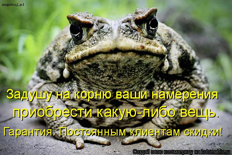 Котоматрица: приобрести какую-либо вещь.  Задушу на корню ваши намерения  Гарантия. Постоянным клиентам скидки!