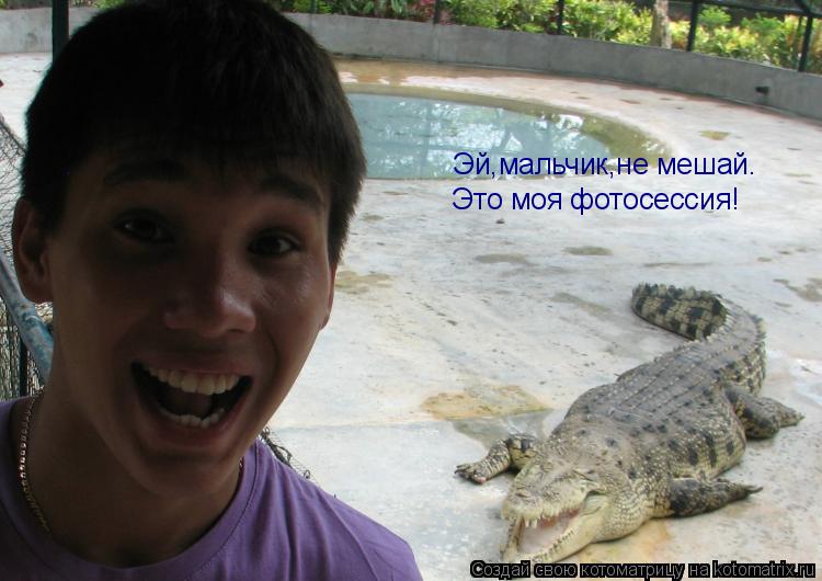 Котоматрица: Эй,мальчик,не мешай. Это моя фотосессия!