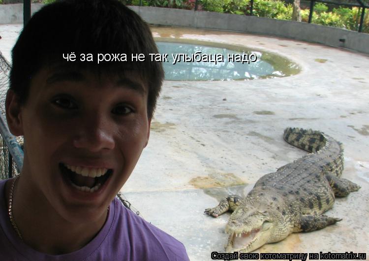 чё за рожа не так улыбаца надо... Котоматрица: чё за рожа не так улыбаца надо