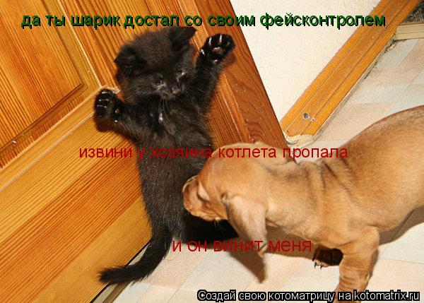 да ты шарик достал со своим фейсконтролем извини у хозяина котлета пропала и он винит меня... Котоматрица: да ты шарик достал со своим фейсконтролем извини у хозяина котлета пропала и он винит меня