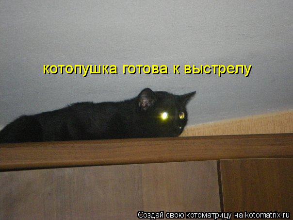 котопушка готова к выстрелу... Котоматрица: котопушка готова к выстрелу