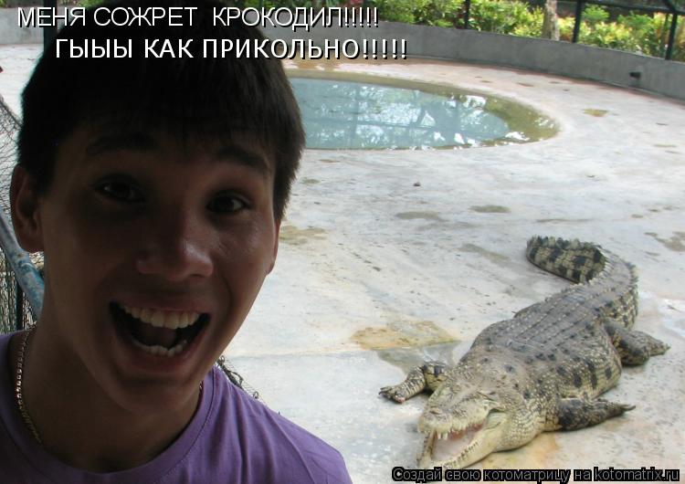 МЕНЯ СОЖРЕТ КРОКОДИЛ!!!!! ГЫЫЫ КАК ПРИКОЛЬНО!!!!!... Котоматрица: МЕНЯ СОЖРЕТ КРОКОДИЛ!!!!! ГЫЫЫ КАК ПРИКОЛЬНО!!!!!