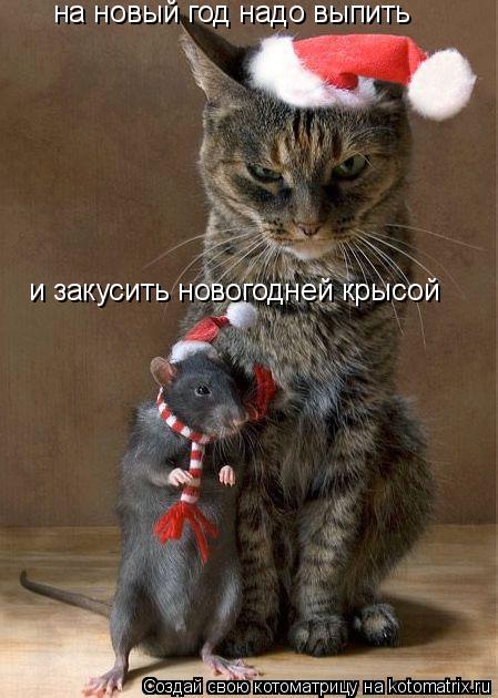 Котоматрица: на новый год надо выпить и закусить новогодней крысой