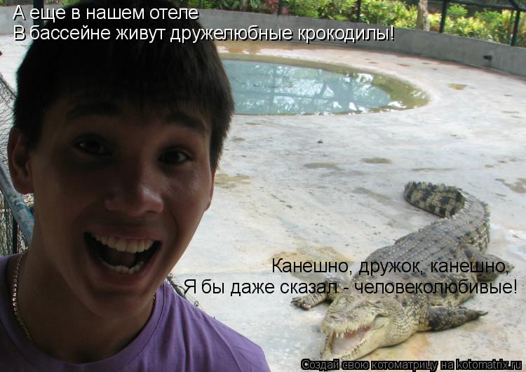 Котоматрица: А еще в нашем отеле В бассейне живут дружелюбные крокодилы! Канешно, дружок, канешно, Я бы даже сказал - человеколюбивые!