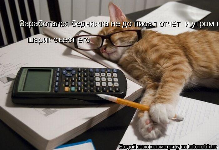 Котоматрица: Заработался бедняжка не до писал отчёт  и утром шарик съест его  Заработался бедняжка не до писал отчёт  и утром шарик съест его   шарик съес