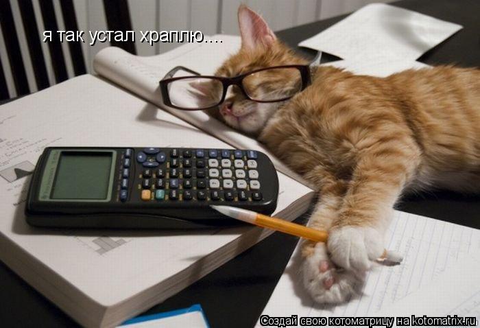 Котоматрица: я так устал храплю....