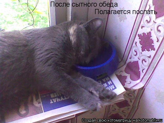 Котоматрица: После сытного обеда Полагается поспать