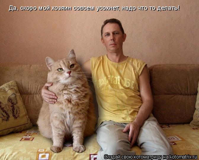 Котоматрица: Да, скоро мой хозяин совсем усохнет, надо что то делать!