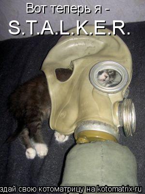 Котоматрица: Вот теперь я - S.T.A.L.K.E.R.