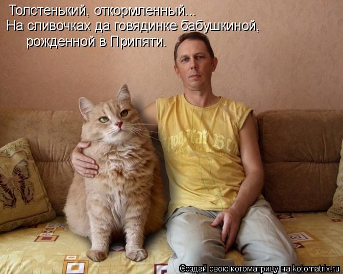 Котоматрица: Толстенький, откормленный...  На сливочках да говядинке бабушкиной, рожденной в Припяти.