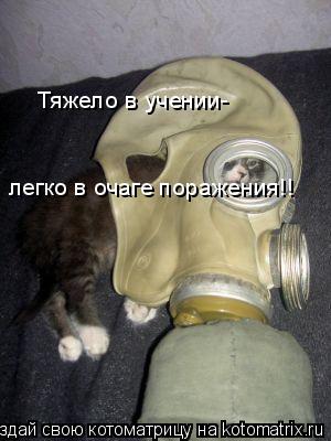 Котоматрица: Тяжело в учении- легко в очаге поражения!!