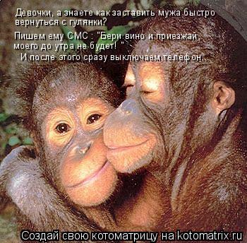 Котоматрица: Девочки, а знаете как заставить мужа быстро  вернуться с гулянки? Пишем ему СМС : "Бери вино и приезжай, моего до утра не будет! "   И после этог