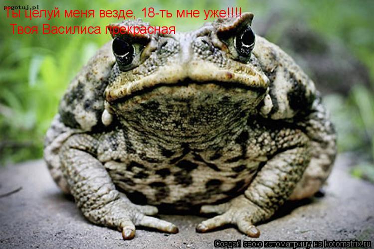 Котоматрица: Ты целуй меня везде, 18-ть мне уже!!!! Твоя Василиса прекрасная