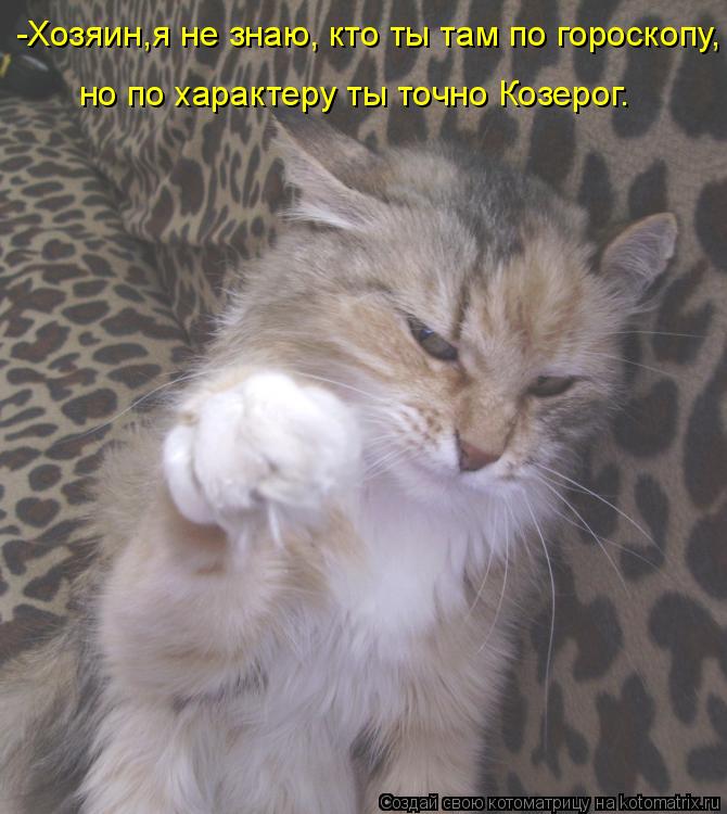 Котоматрица: -Хозяин,я не знаю, кто ты там по гороскопу, но по характеру ты точно Козерог.