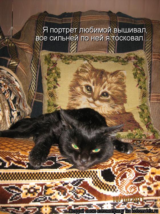 Котоматрица: Я портрет любимой вышивал, все сильней по ней я тосковал....