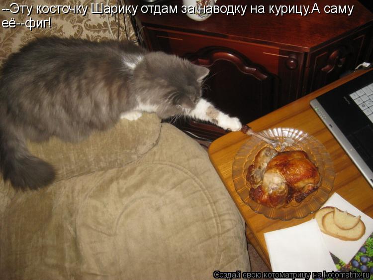 Котоматрица: --Эту косточку Шарику отдам за наводку на курицу.А саму её--фиг!