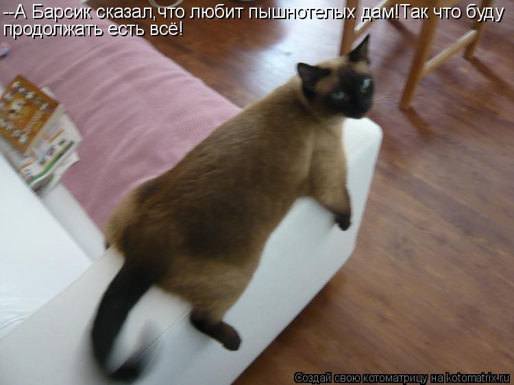 Котоматрица: --А Барсик сказал,что любит пышнотелых дам!Так что буду продолжать есть всё!