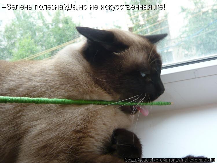 Котоматрица: --Зелень полезна?Да,но не искусственная же!