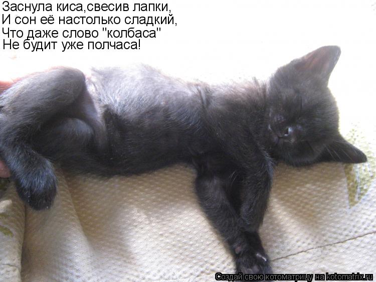 Котоматрица: Заснула киса,свесив лапки, И сон её настолько сладкий, Что даже слово "колбаса" Не будит уже полчаса!