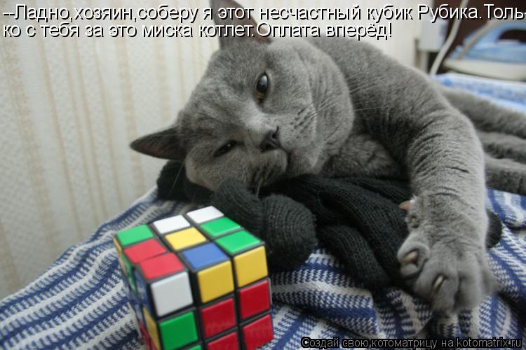 Котоматрица: --Ладно,хозяин,соберу я этот несчастный кубик Рубика.Толь- ко с тебя за это миска котлет.Оплата вперёд!