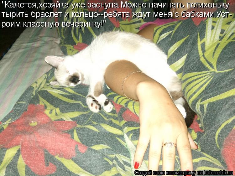 Котоматрица: "Кажется,хозяйка уже заснула.Можно начинать потихоньку тырить браслет и кольцо--ребята ждут меня с бабками.Уст- роим классную вечеринку!"
