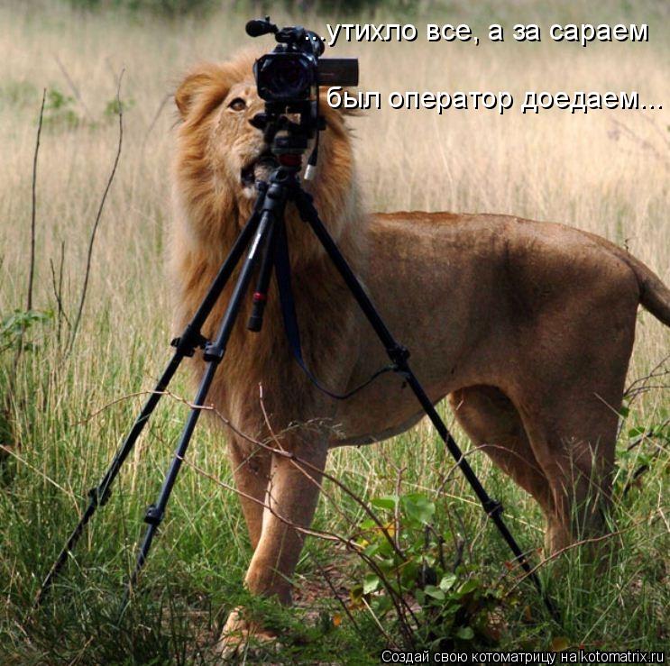 Котоматрица: ...утихло все, а за сараем был оператор доедаем...