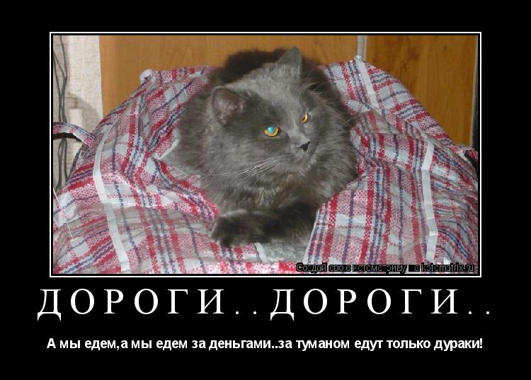 Котоматрица: Дороги..дороги.. А мы едем,а мы едем за деньгами..за туманом едут только дураки!