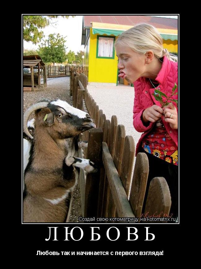 Котоматрица: любовь Любовь так и начинается с первого взгляда!