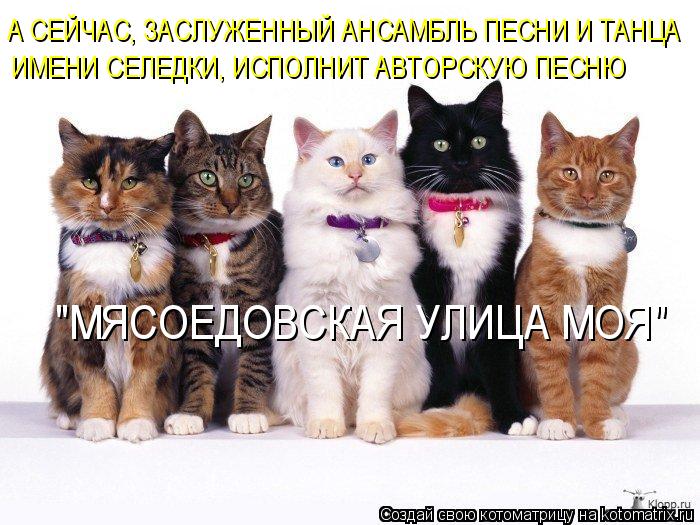 Котоматрица: А СЕЙЧАС, ЗАСЛУЖЕННЫЙ АНСАМБЛЬ ПЕСНИ И ТАНЦА ИМЕНИ СЕЛЕДКИ, ИСПОЛНИТ АВТОРСКУЮ ПЕСНЮ "МЯСОЕДОВСКАЯ УЛИЦА МОЯ"