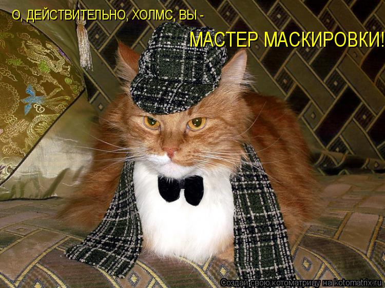 Котоматрица: О, ДЕЙСТВИТЕЛЬНО, ХОЛМС, ВЫ - МАСТЕР МАСКИРОВКИ!