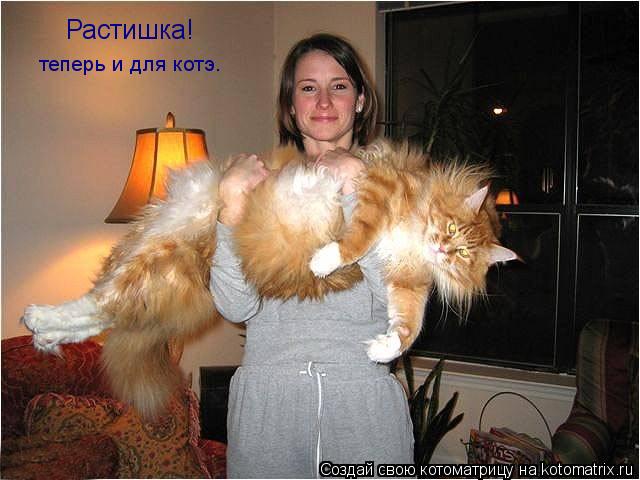 Котоматрица: Растишка! теперь и для котэ.