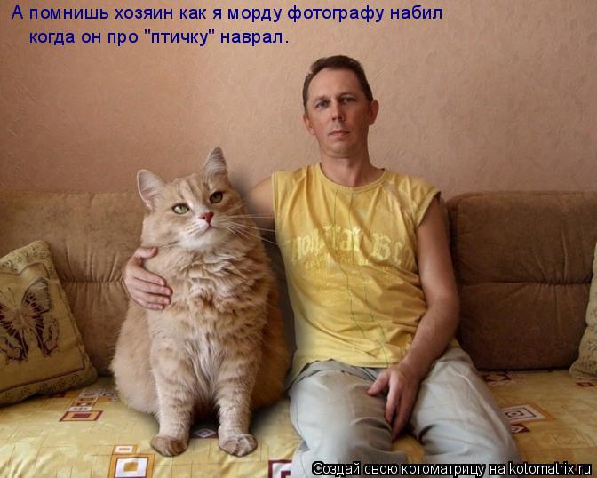 Котоматрица: А помнишь хозяин как я морду фотографу набил когда он про "птичку" наврал.