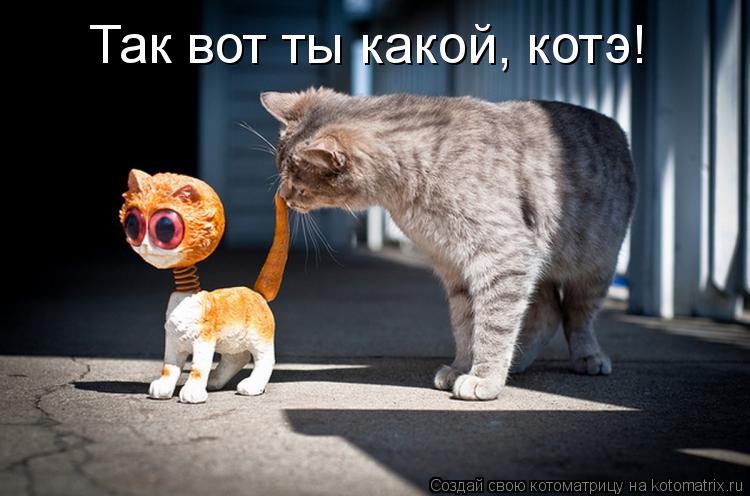 Котоматрица: Так вот ты какой, котэ!