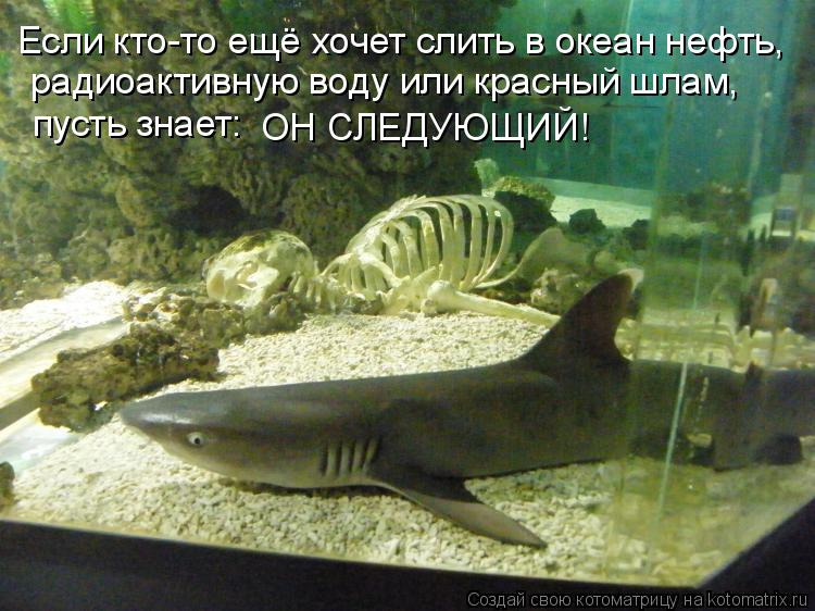 Котоматрица: Если кто-то ещё хочет слить в океан нефть,  радиоактивную воду или красный шлам, пусть знает: ОН СЛЕДУЮЩИЙ!
