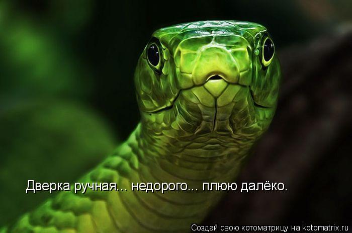 Котоматрица: Дверка ручная... недорого... плюю далёко.