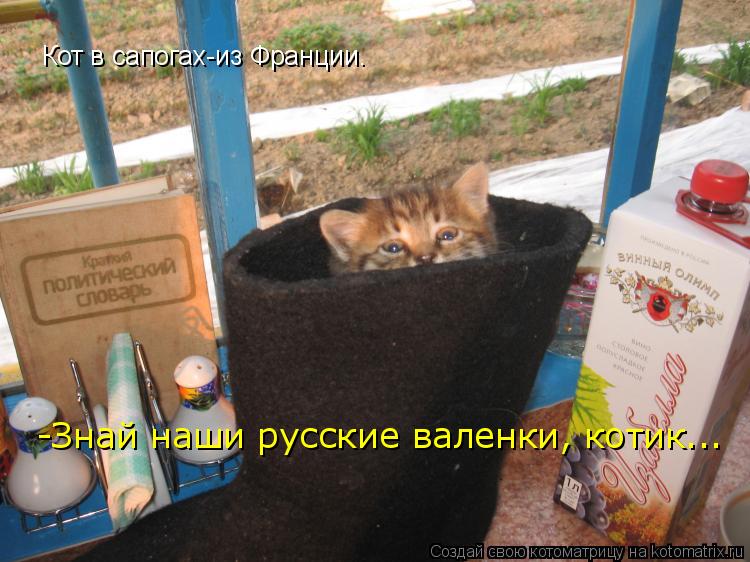 Котоматрица: Кот в сапогах-из Франции. -Знай наши русские валенки, котик...