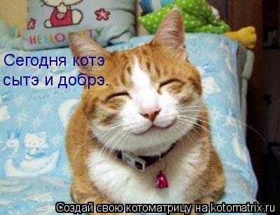 Котоматрица: Сегодня котэ сытэ и добрэ.
