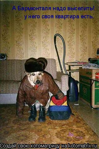 А Бармюнталя надо выселить! у него своя квартира есть.... Котоматрица: А Бармюнталя надо выселить! у него своя квартира есть.