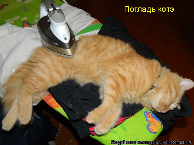 Котоматрица: Погладь котэ