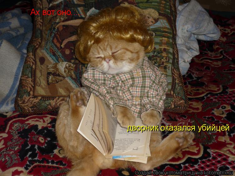 Котоматрица: Ах вот оно..... дворник оказался убийцей