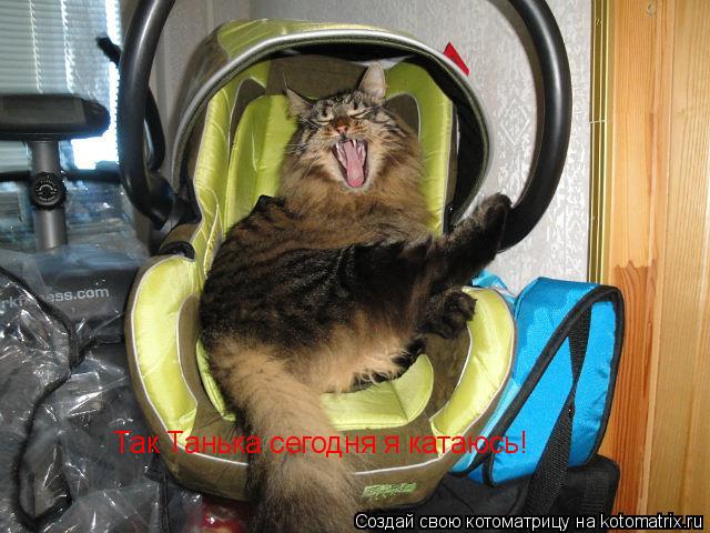 Котоматрица: Так Танька сегодня я катаюсь!